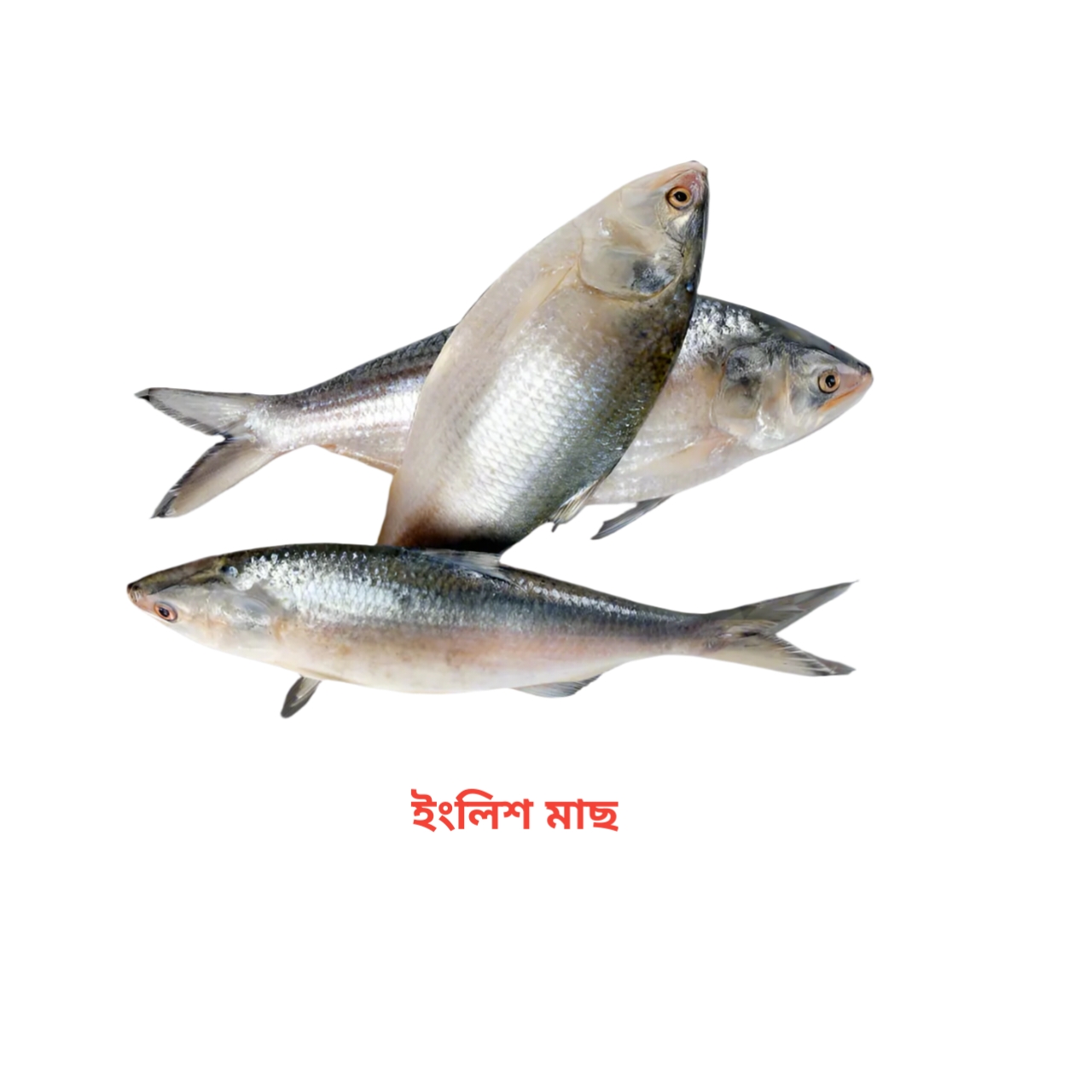 PaikariOnlineBazar promo